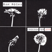 Freedom for Love
