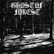 Shimmering Presence (Demo)