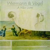 wiermann & vogel