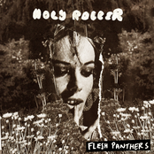 Flesh Panthers: Holy Roller