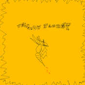 Yellow Jacket