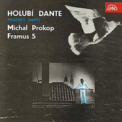 Holubí dante
