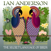 Ian Anderson: The Secret Language Of Birds