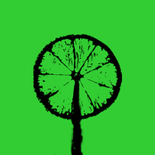 Limes