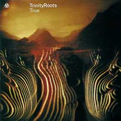 Just Like You by Trinity Roots