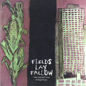 One Hundred Years Of High Rises...