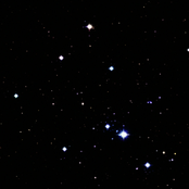 canis major