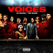 Voices