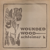 Wounded Wood LP