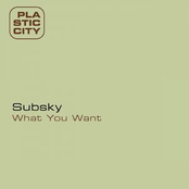 What U Want by Subsky