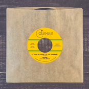 I Sold My Heart to the Junkman