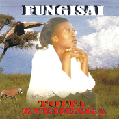 Toita Zvedenga