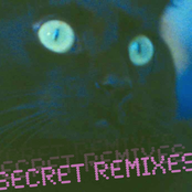 Secret Remixes