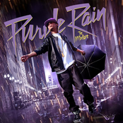 Purple Rain Mix Cd