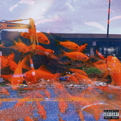 Nostalgia Is Dangerous!