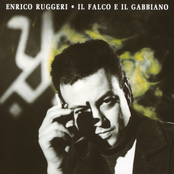 Il Volo Del Falco E Del Gabbiano by Enrico Ruggeri