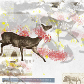 Narcissus Is Within You