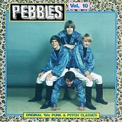 Pebbles Vol 10