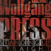 Forty Days, Thirty Nights by The Wolfgang Press