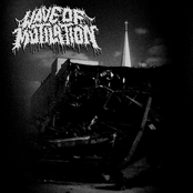 Wave Of Mutilation