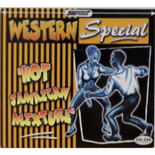 Love You Anyway by Western Special