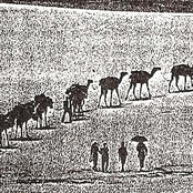 Il Viale Giallo Della Vergogna