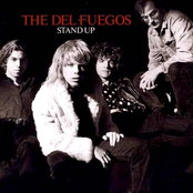 The Del Fuegos: Stand Up