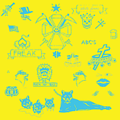 White Fence: White Fence