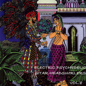 Electric Psychedelic Sitar Headswirlers Vol.8