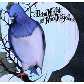 Bluebird by Brian Wright And The Waco Tragedies