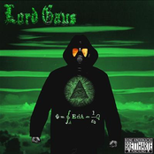 Das Gaus'sche Gesetz