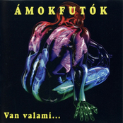 Van valami...