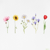 Yung Kai: wildflower