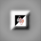 Snake Shame Demeaning