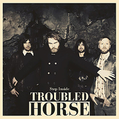 Don't Lie by Troubled Horse