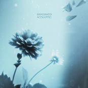 Riverbed (feat. Birdy) [Acoustic]