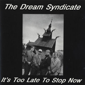 Listen To The Lion by The Dream Syndicate