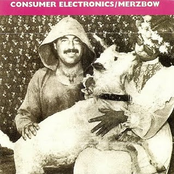 Horn Of The Goat by Consumer Electronics / Merzbow