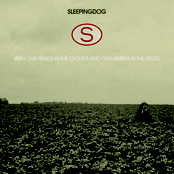 With Our Heads In the Clouds  Our Hearts In the Fields