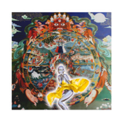 the cyborg manifesto