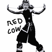 Red Cow