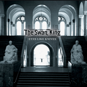 Staring Through Skulls by The Swan King