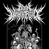 Born Without Blood: Skeleton Music