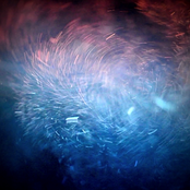 Biografia di te / Biography of You