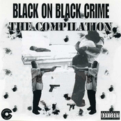 Black On Black Crime