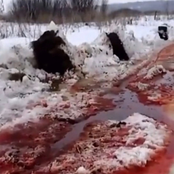 found a cassette tape covered in blood on the ground