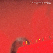 lights in the basement