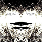 Animal Index (Flesh)