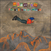 Rzucam się na wiatr