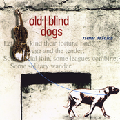 Gala Water by Old Blind Dogs